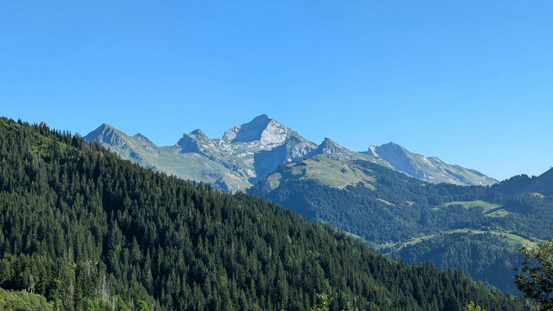 IGP Alpilles : fraîcheur et élégance en Provence
