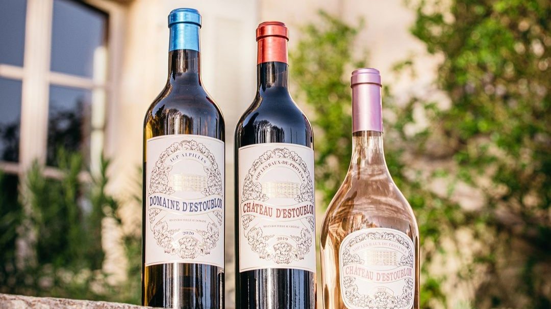 Quel vin choisir cet été ? Le guide ultime Vinodelice 🍷☀️