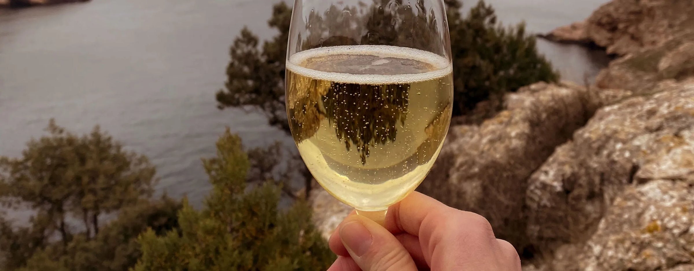 Le vin pétillant