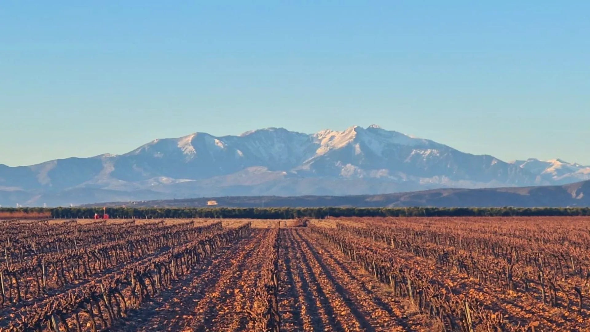 Nos vins de Salta