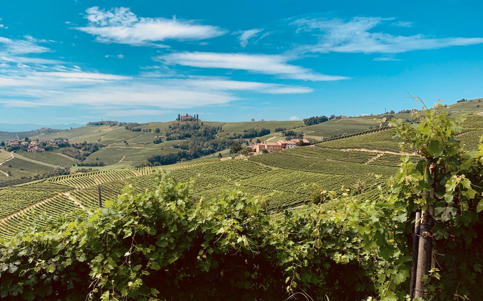 Barolo : le vin italien dans toute sa splendeur