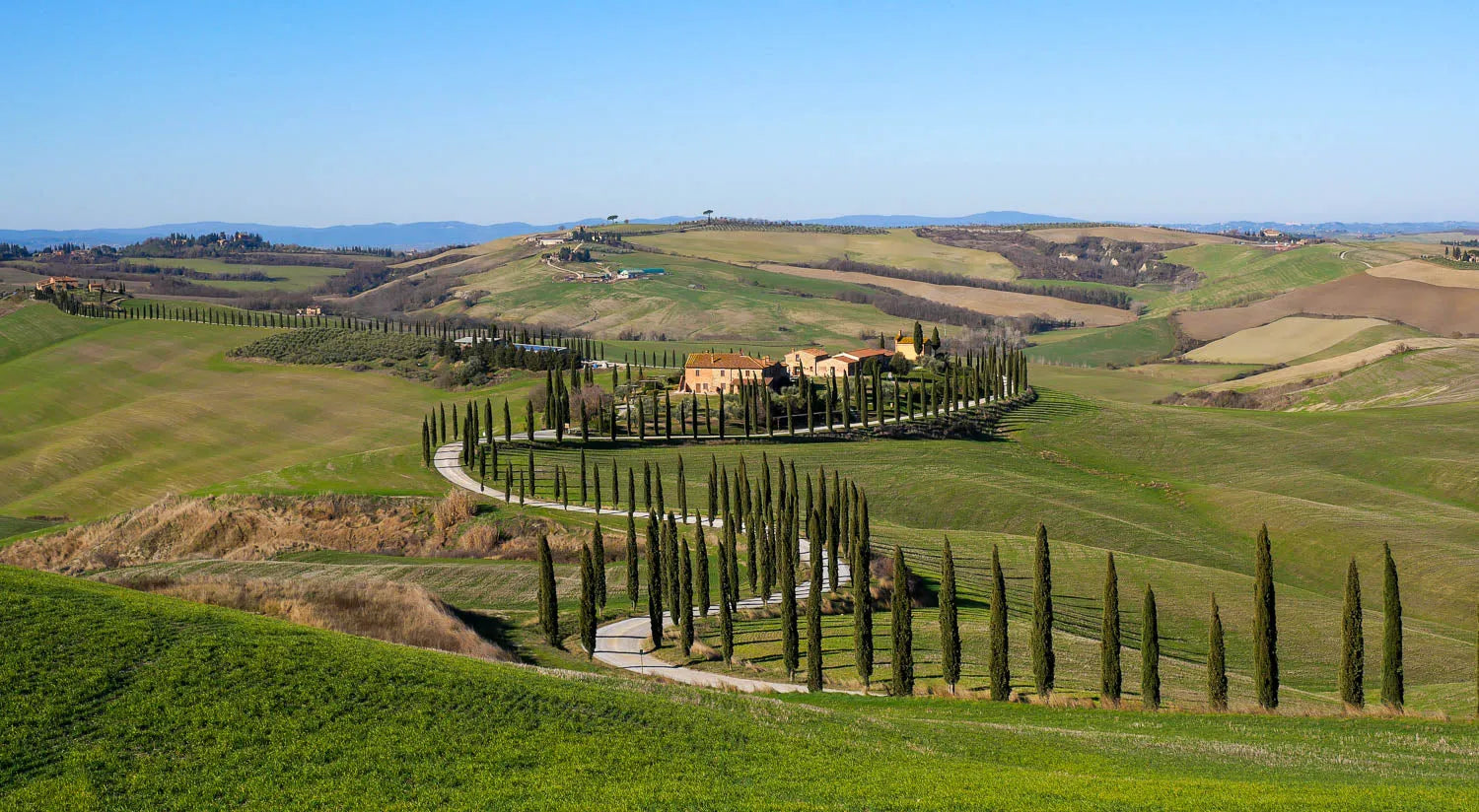Nos Chianti, grands vins rouges de Toscane