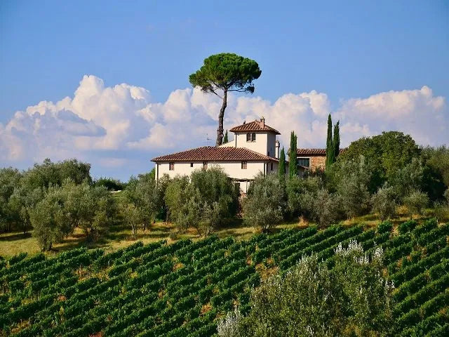 Garganega