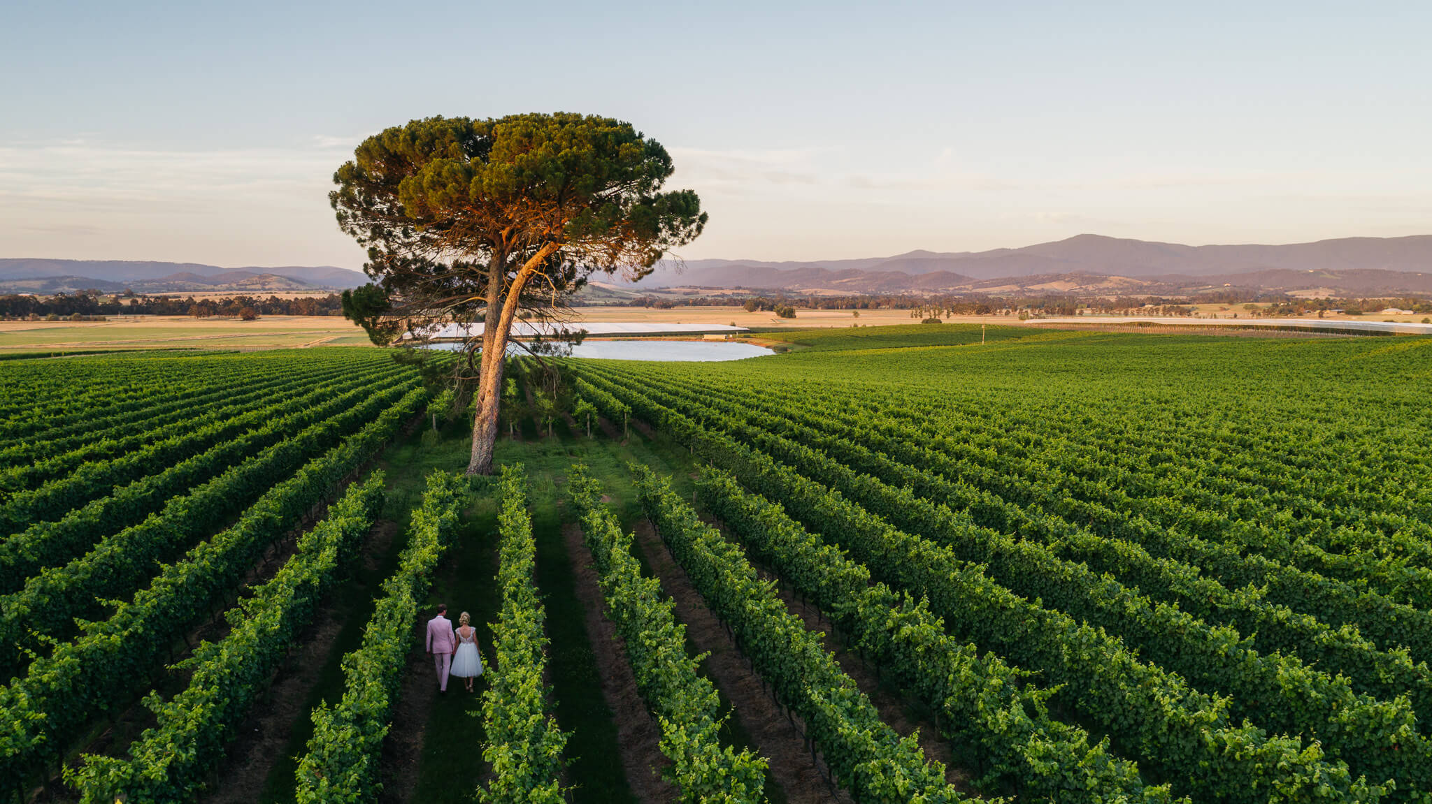 Nos vins de la Yarra Valley