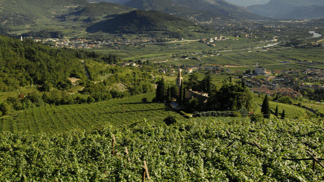 Domaine Pietra Pura