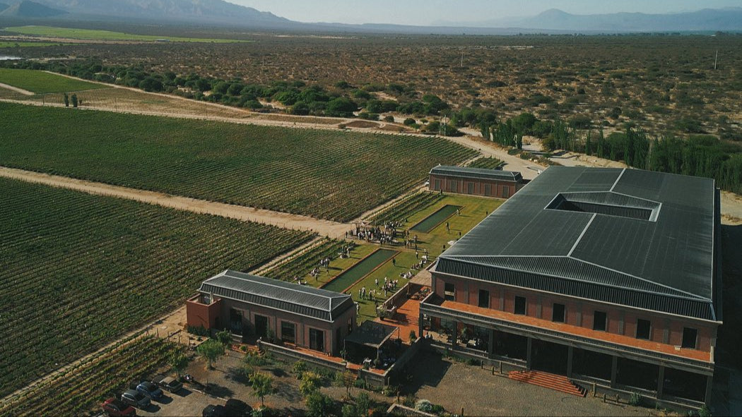 Domaine Vinas en Flor