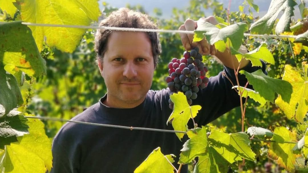 Grappe Poderi Colla
