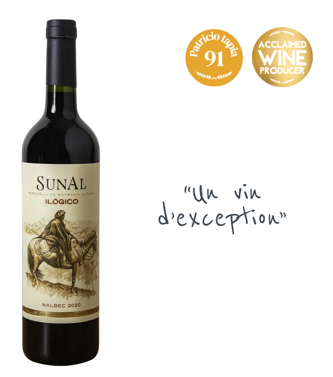 Agustin Lanus, Ilogico Malbec 2020, vin d'altitude