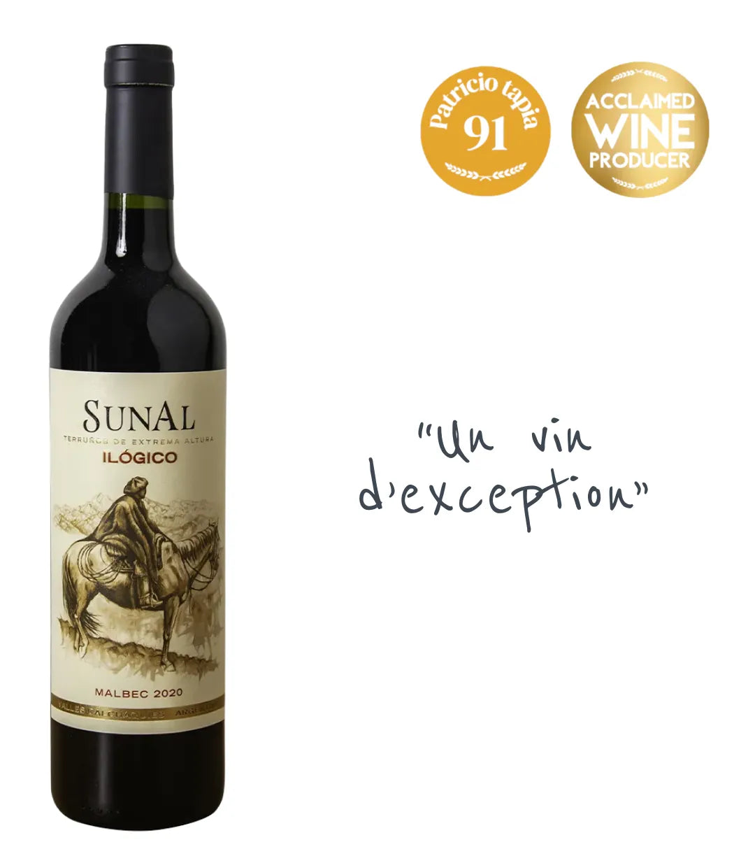 Agustin Lanus, Ilogico Malbec 2020, vin d'altitude