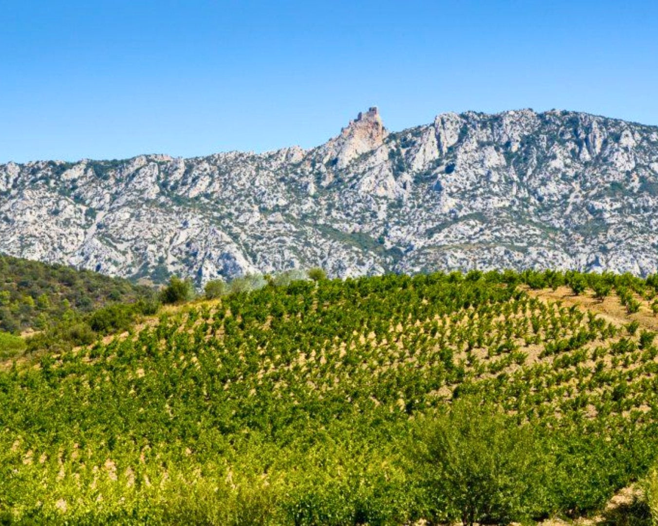 Paysage Bruno Cazes