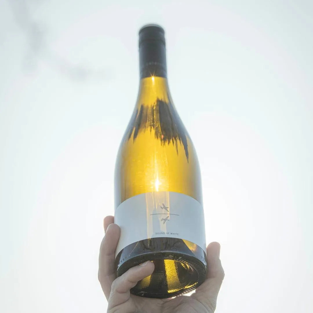 Which White Wine for an Aperitif?