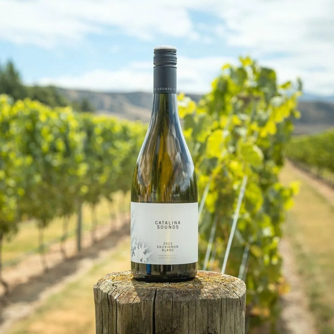 À la découverte du Sauvignon Blanc de Nouvelle-Zélande