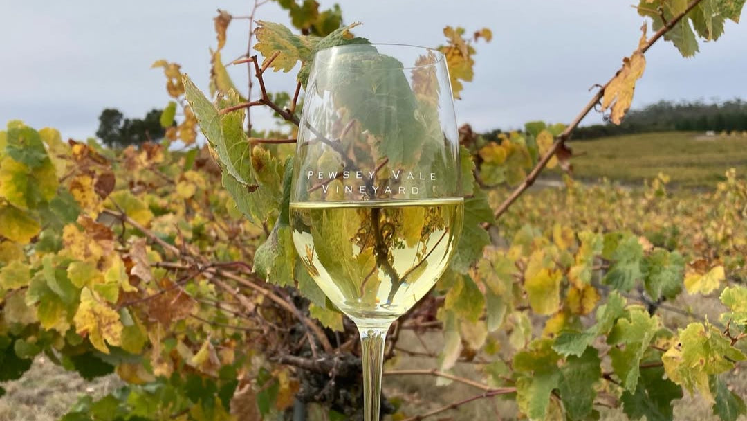 verre de vin vegan