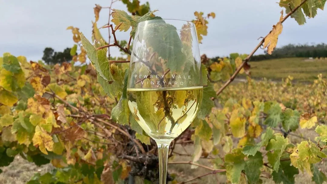 Vin vegan : le vin est-vraiment toujours végétal ?