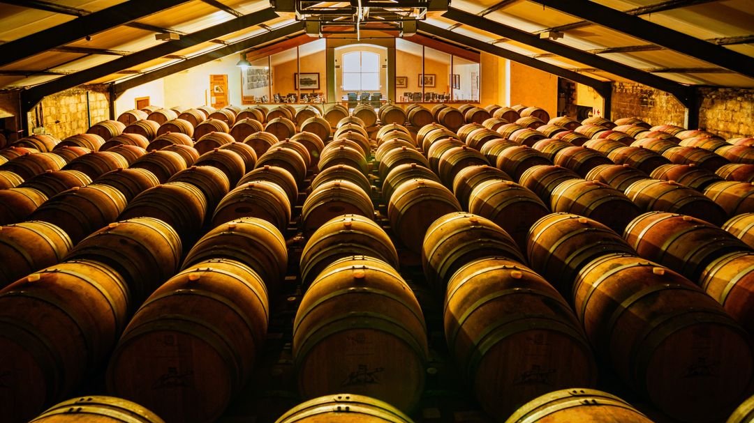 Garde des vins : combien de temps garder une bouteille ?