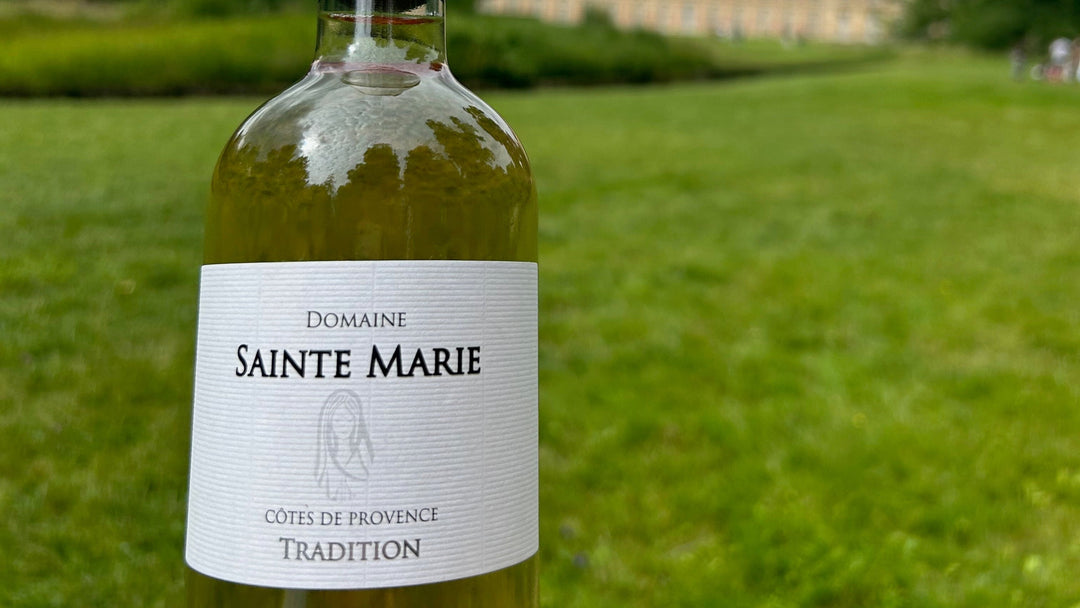 Pique-nique et vin : les meilleurs accords pour profiter des beaux jours