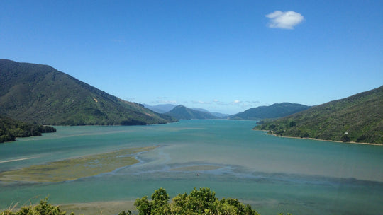 Marlborough: where wine and nature meet