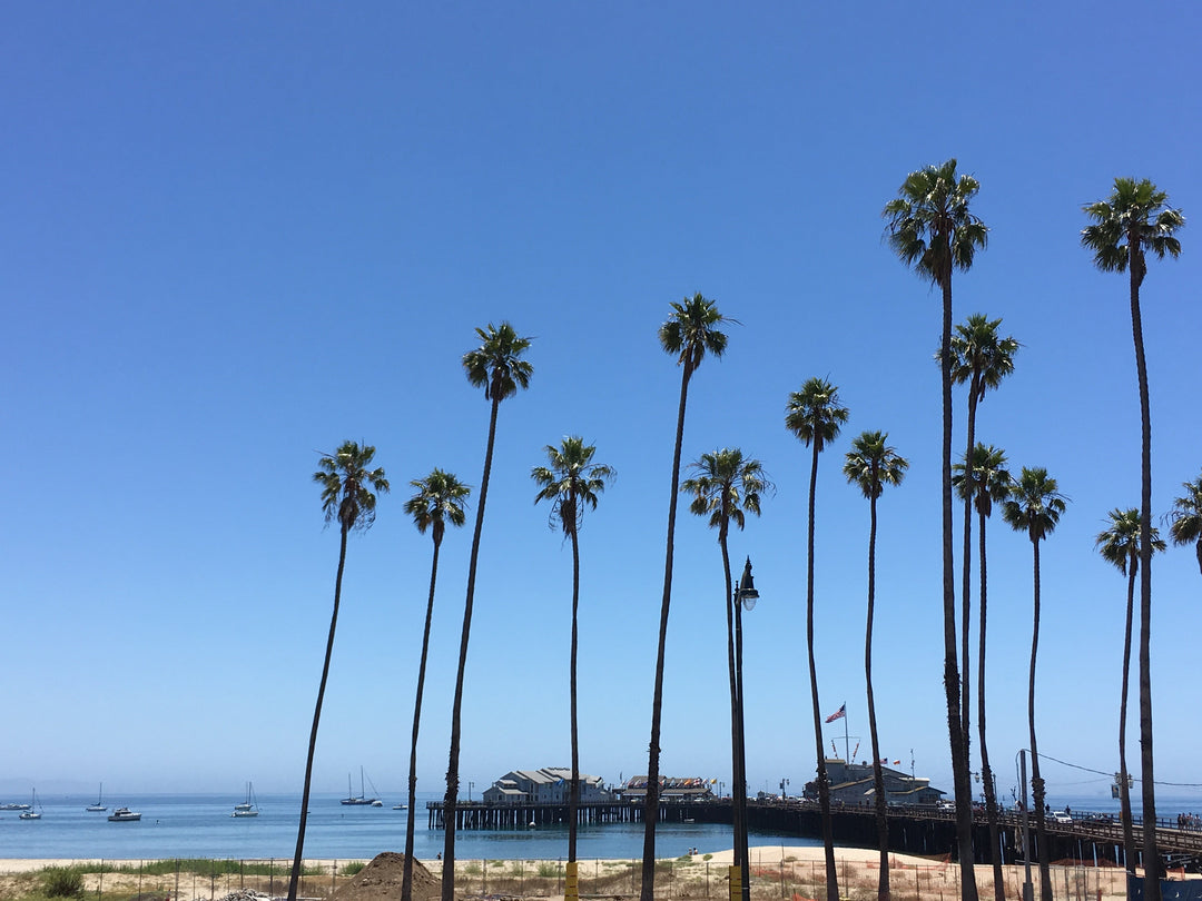 À la découverte des vins californiens