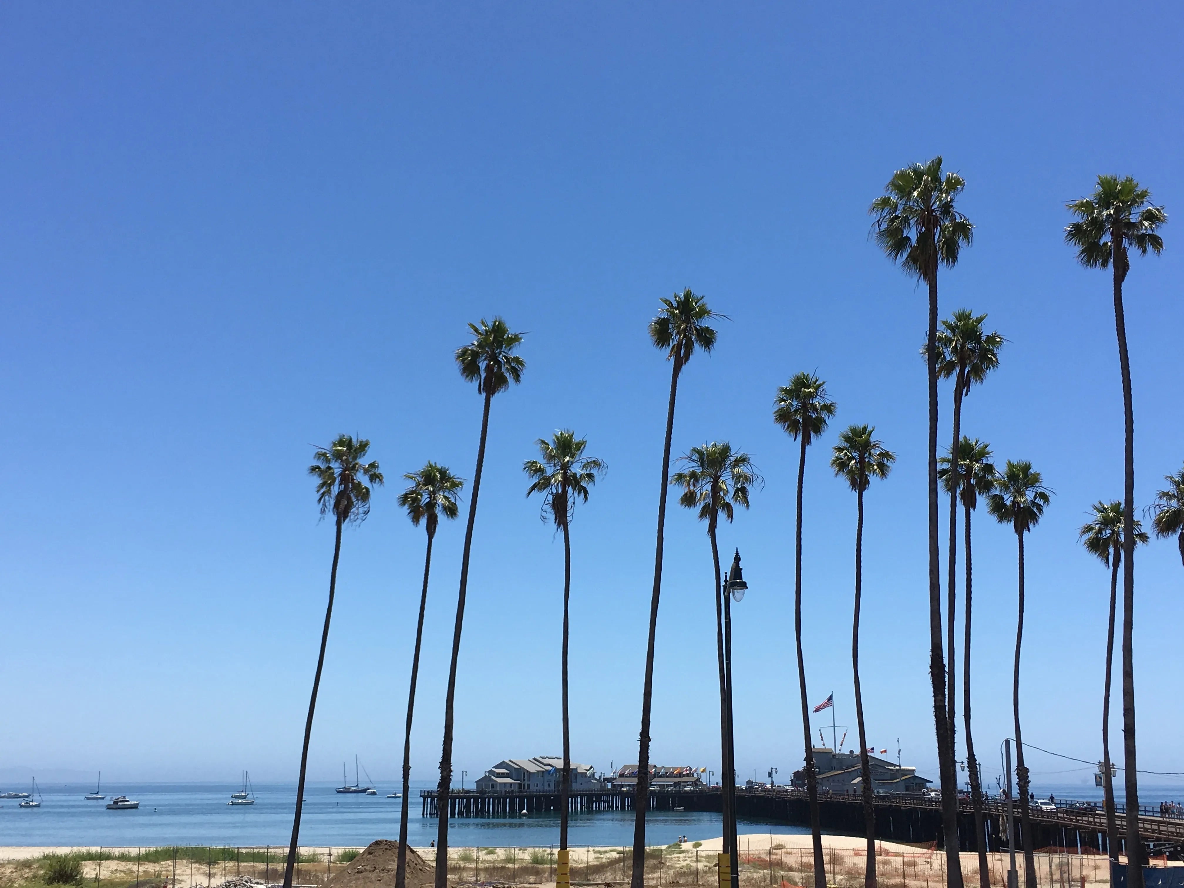 Discovering California Wines