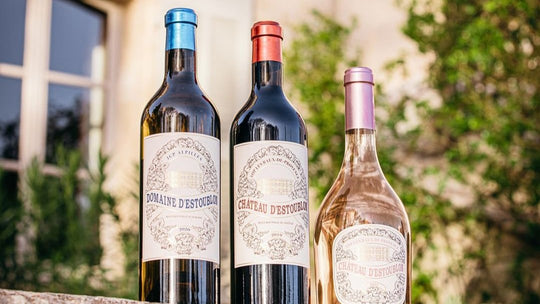 Quel vin choisir cet été ? Le guide ultime Vinodelice 🍷☀️