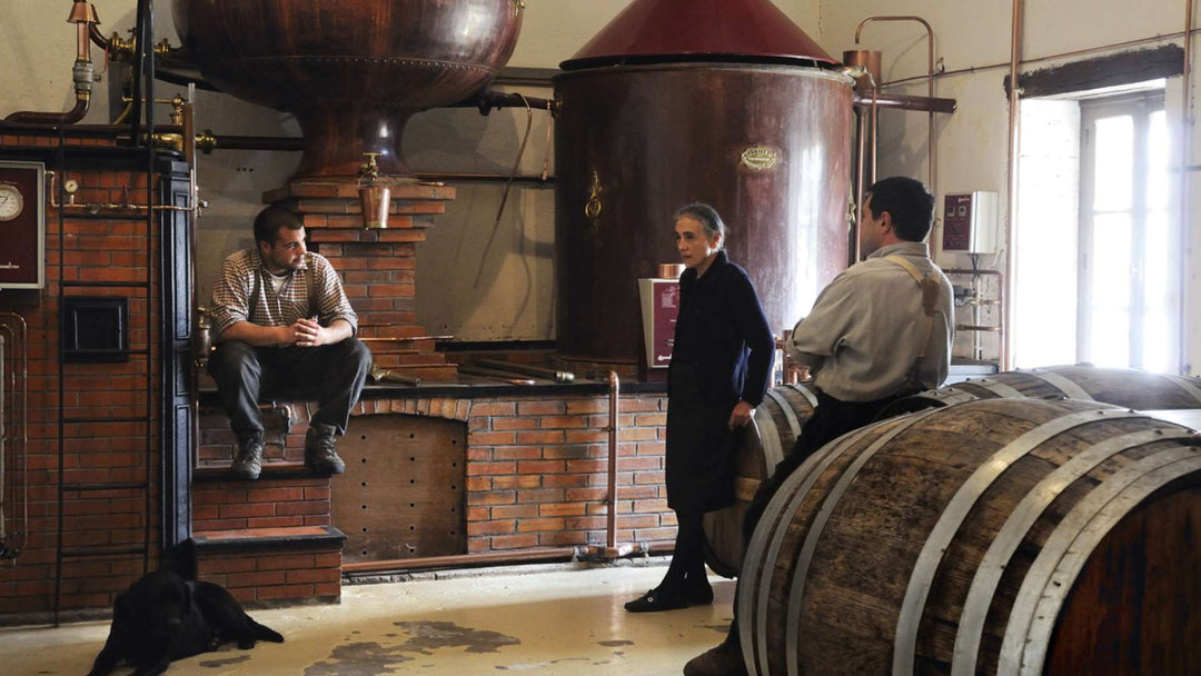 Les 6 crus du Cognac : carte, terroirs et différences de style