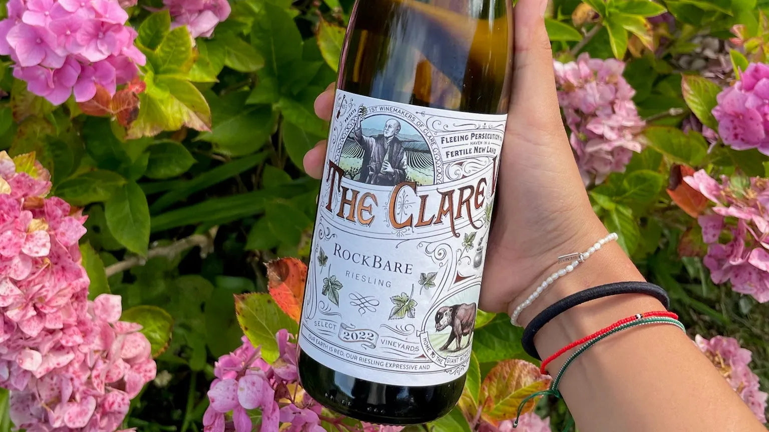 Riesling ou Gewurztraminer : lequel pour vos repas ?