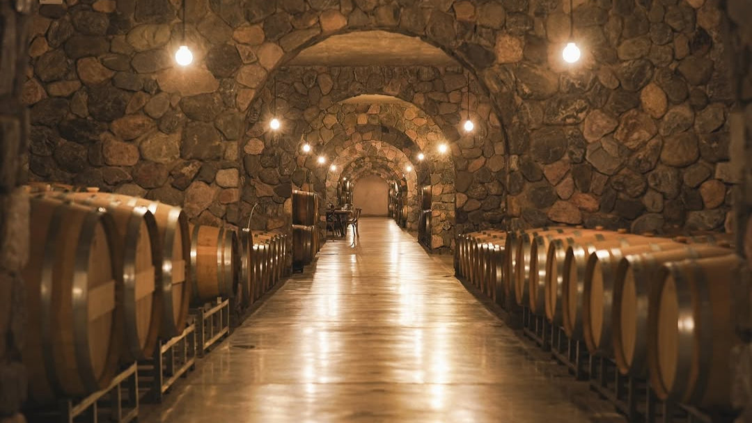 Élevage sur lie : définition, méthode et impact sur le goût du vin