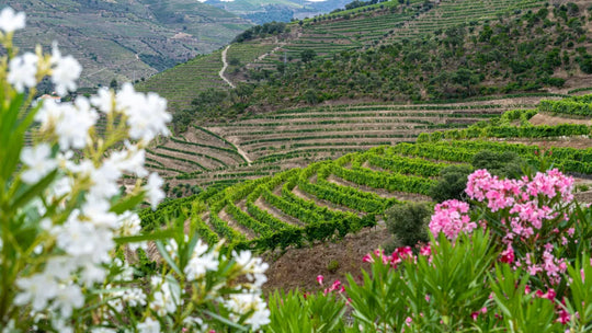 Vin floral : quels cépages, quelles cuvées, quels accords ?