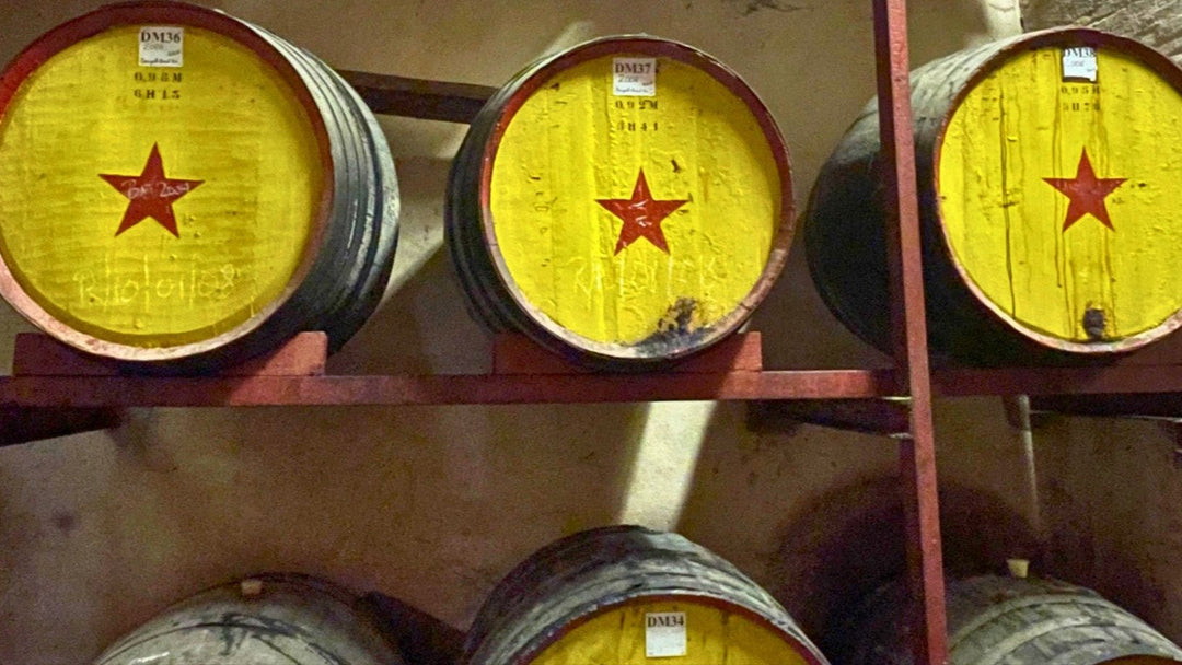 Rancio dans le vin : comprendre et apprécier ce goût unique