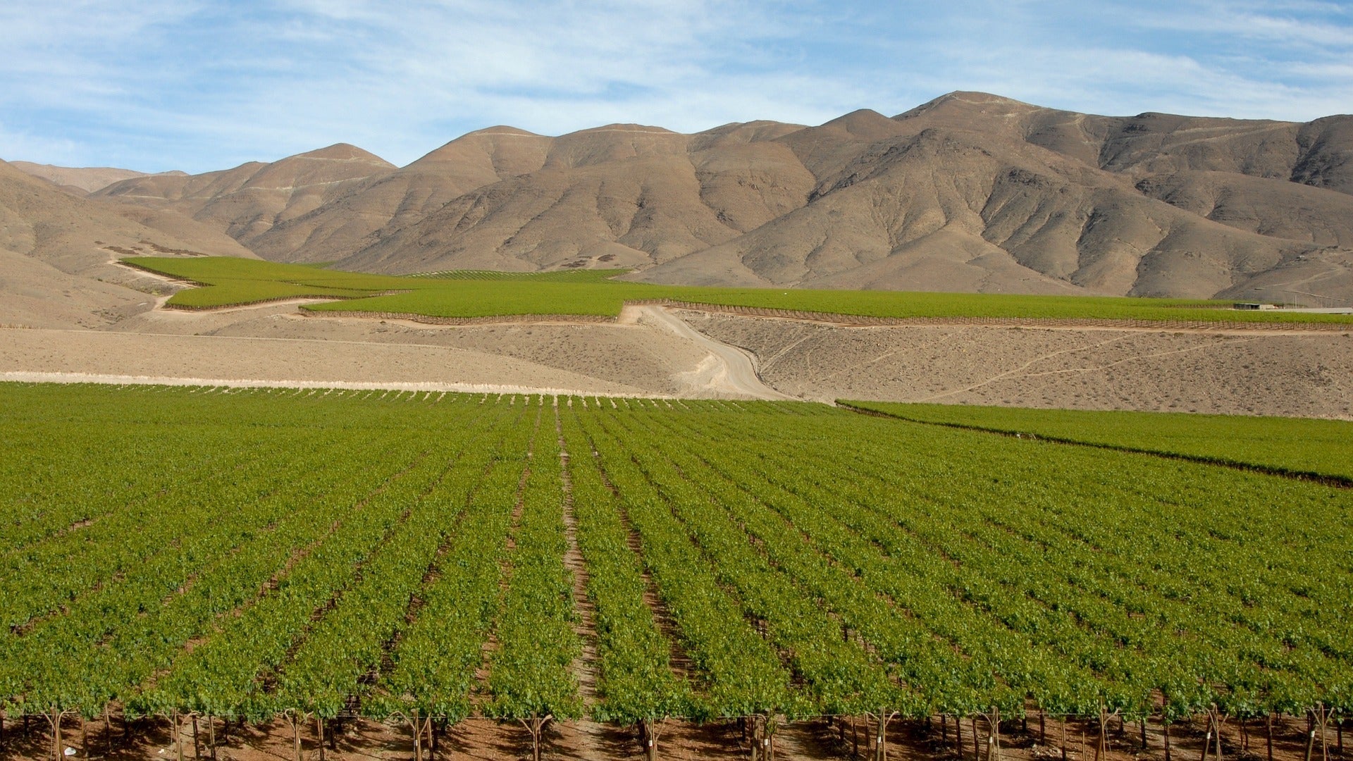 Malleco Valley : le nouveau paradis du Chardonnay et du Pinot Noir
