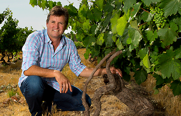 Portrait de vigneron : Dean Hewitson