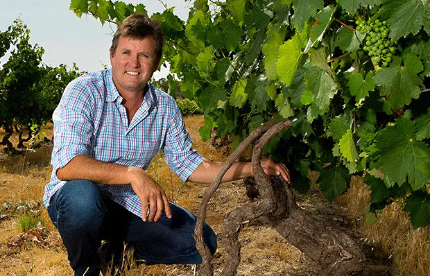 Winemaker Portrait : Dean Hewitson