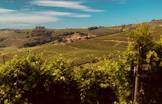 In Vino Veritas: Our guide to the North of Italy