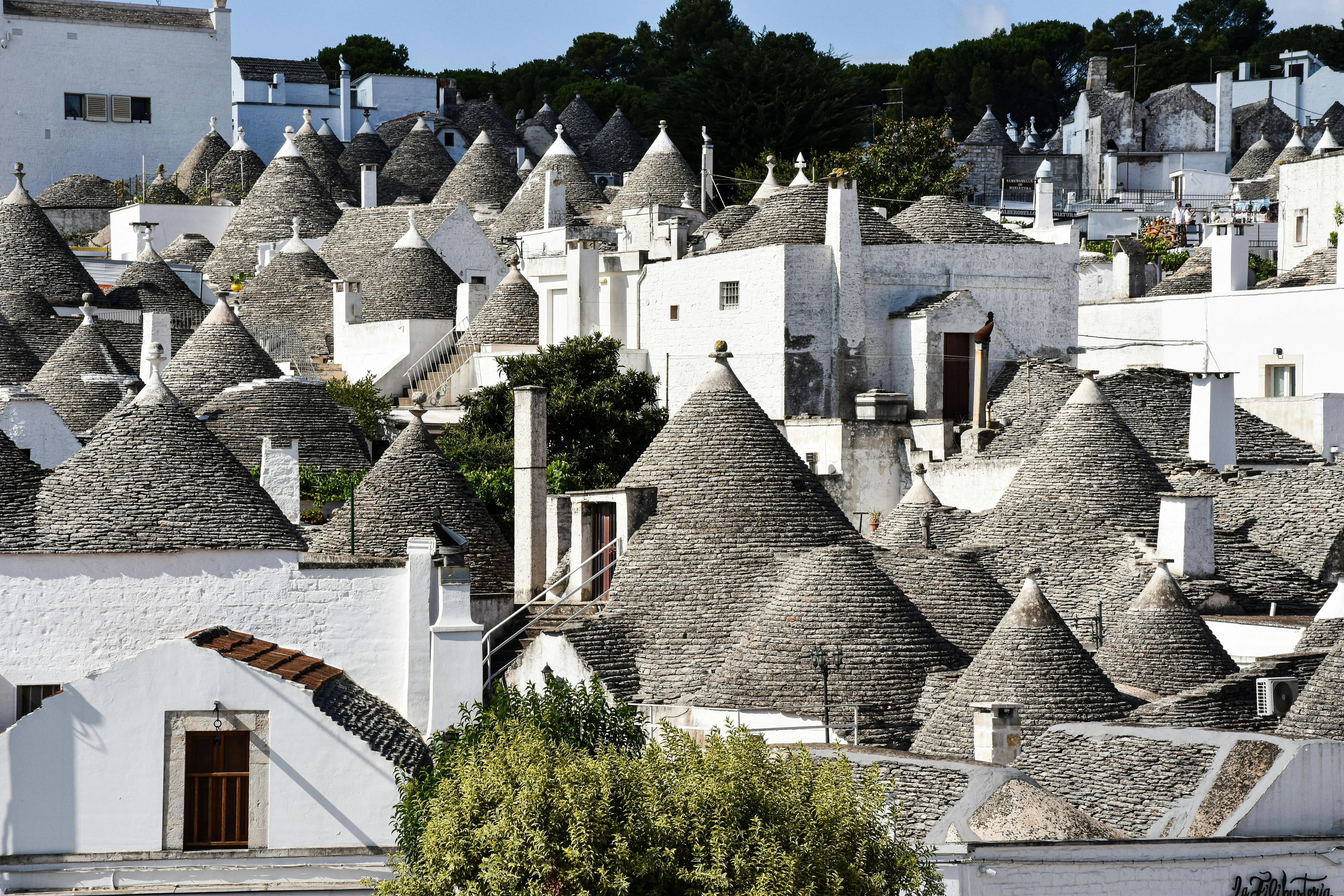 Puglia Wines: The Rising Star of Southern Italy