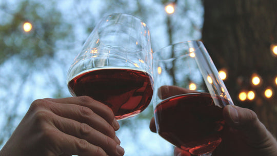 Fresh wine: definition, terroir, grape varieties, and tips