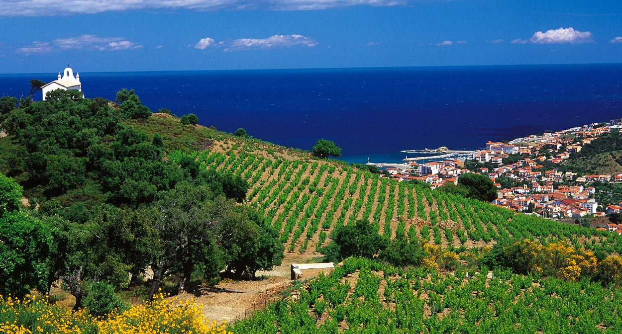 Banyuls: Everything you need to know about this natural sweet wine from Roussillon