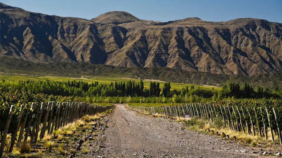 Salta, Argentine : road trip, paysages fabuleux… et vins d’altitude à ne pas manquer