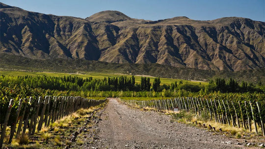 Salta, Argentine : road trip, paysages fabuleux… et vins d’altitude à ne pas manquer