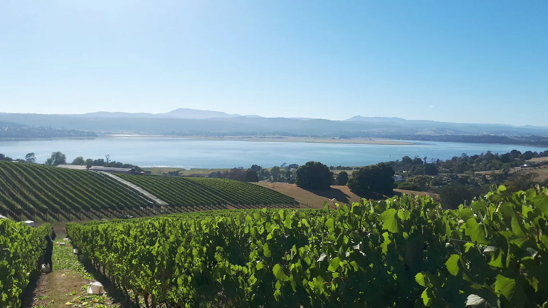notre vin blanc australien
