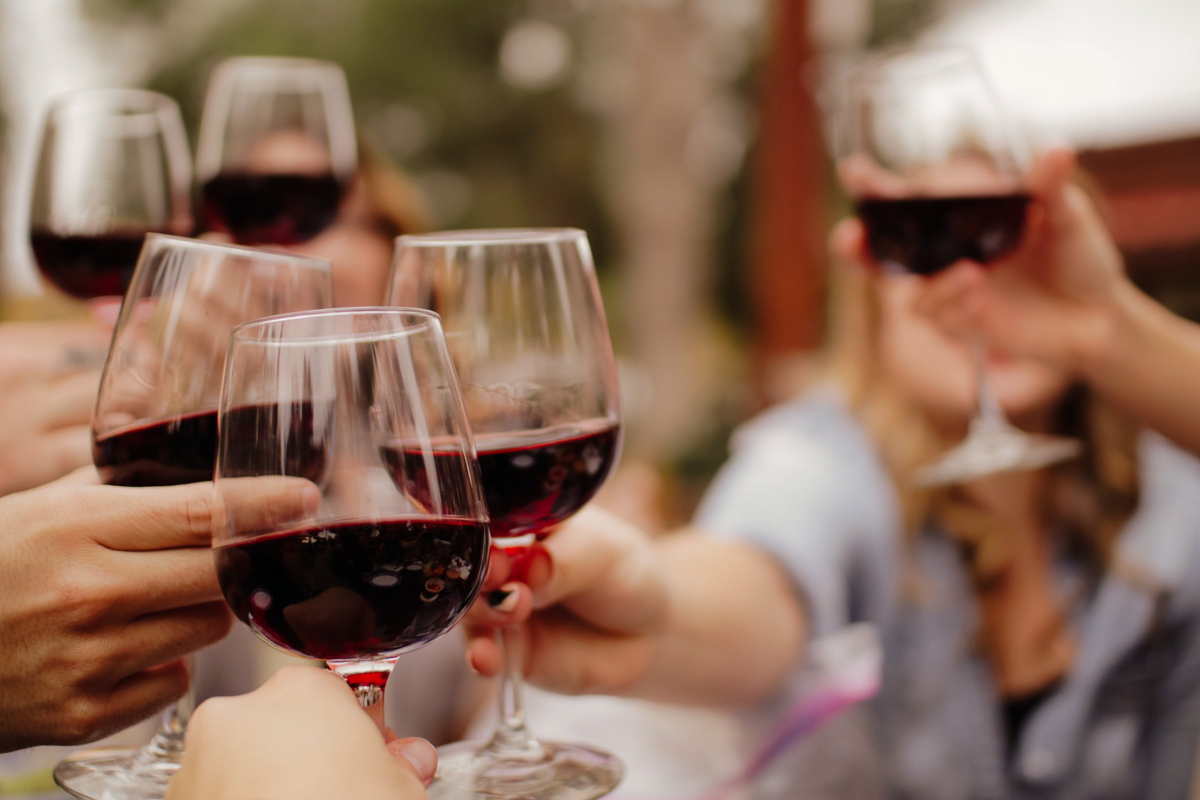 Dégustation Vignerons du Roussillon