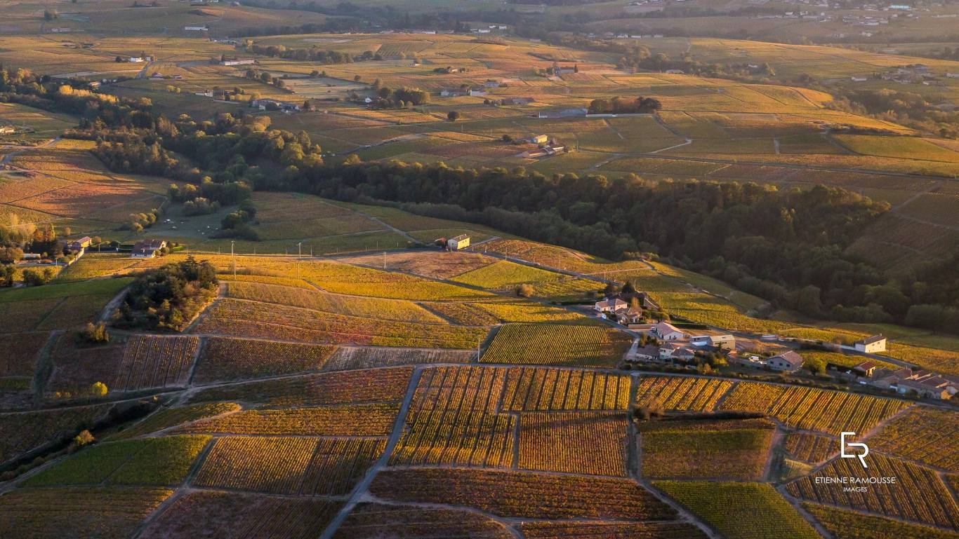 Vignoble de la Côte de Beaune