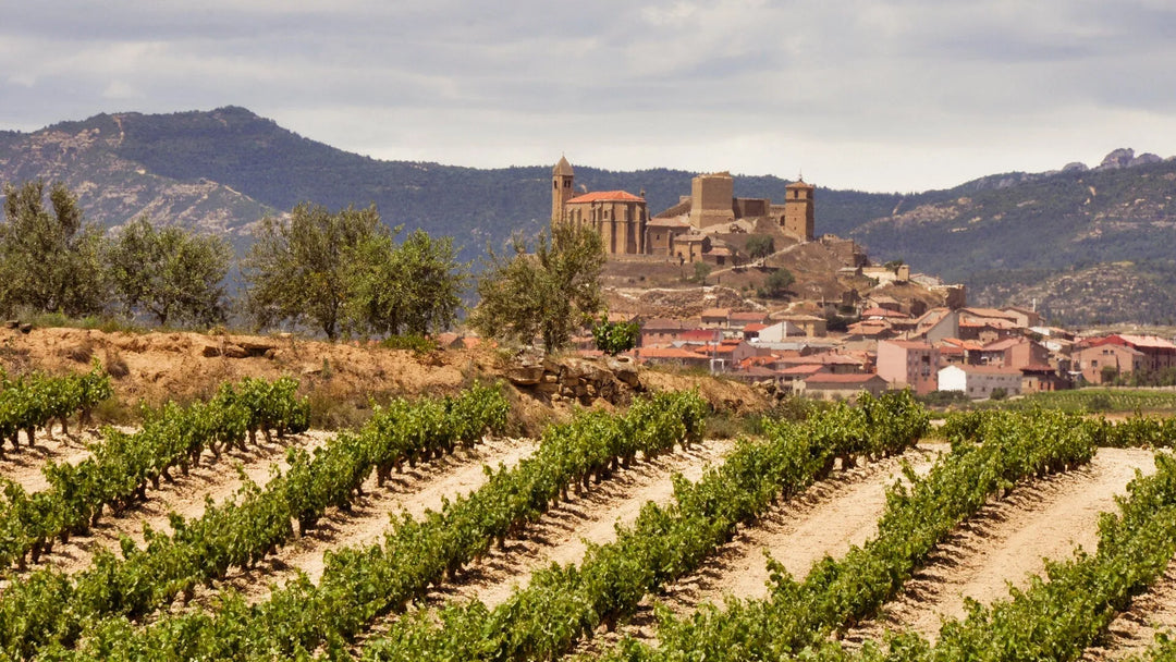 Nos vins d'Espagne