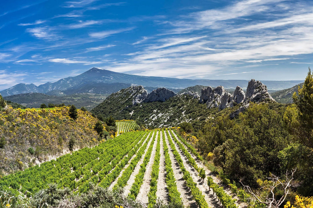Roussanne