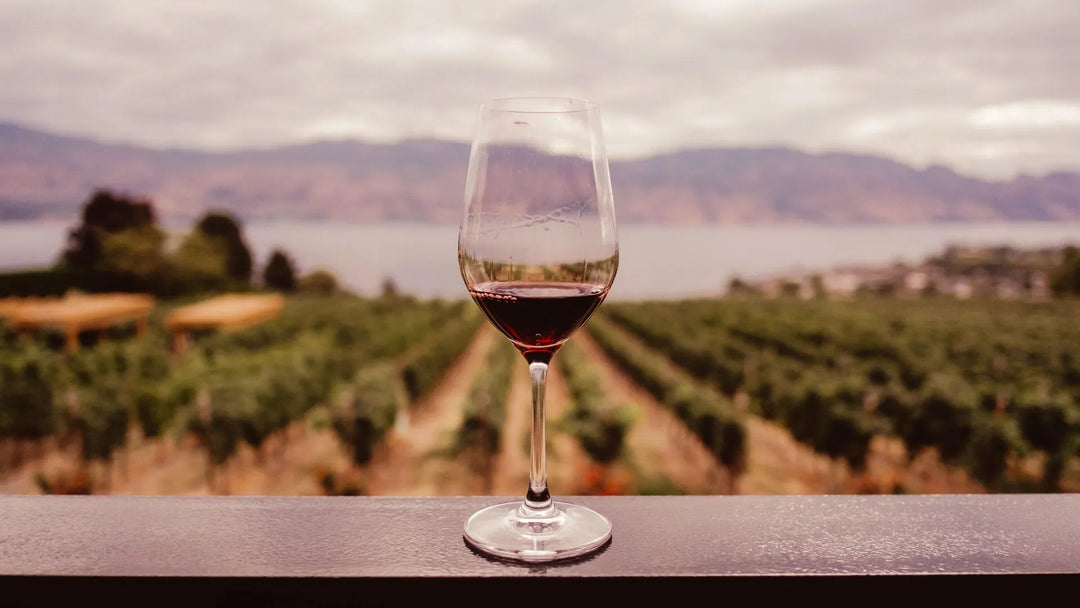 Nos vins rouges du monde