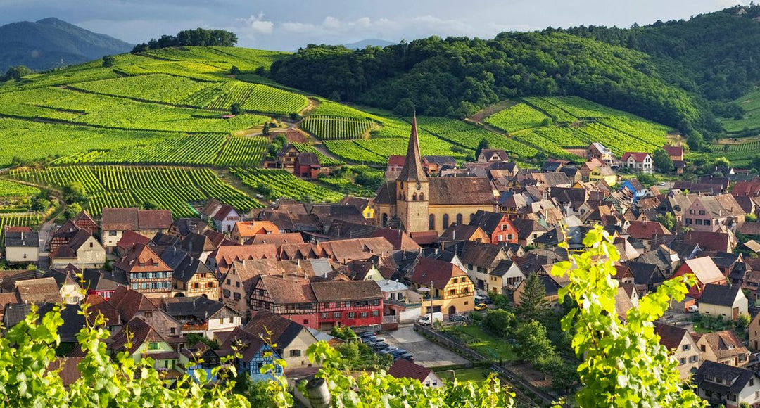 Nos vins d'Alsace