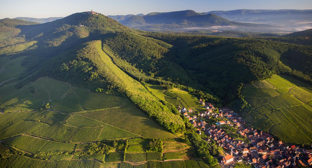 vignoble français