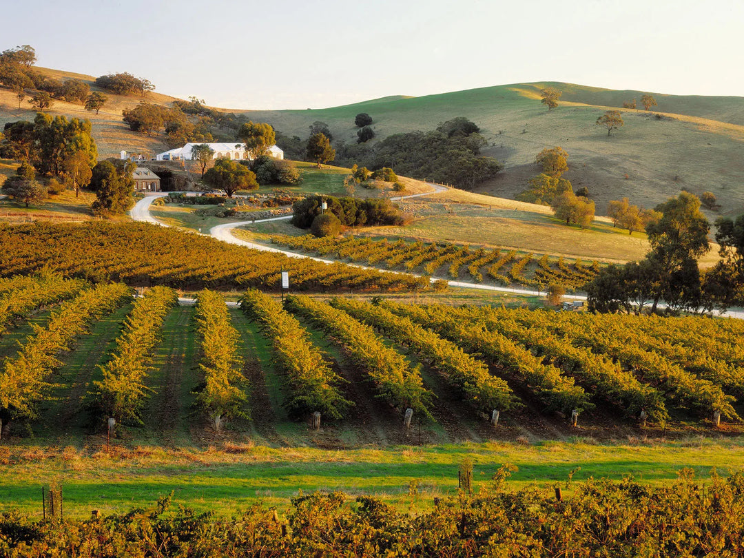 Nos vins de Barossa Valley