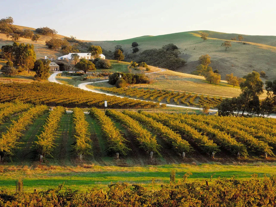 Petit Verdot