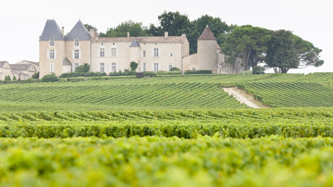 Nos vins de Bordeaux