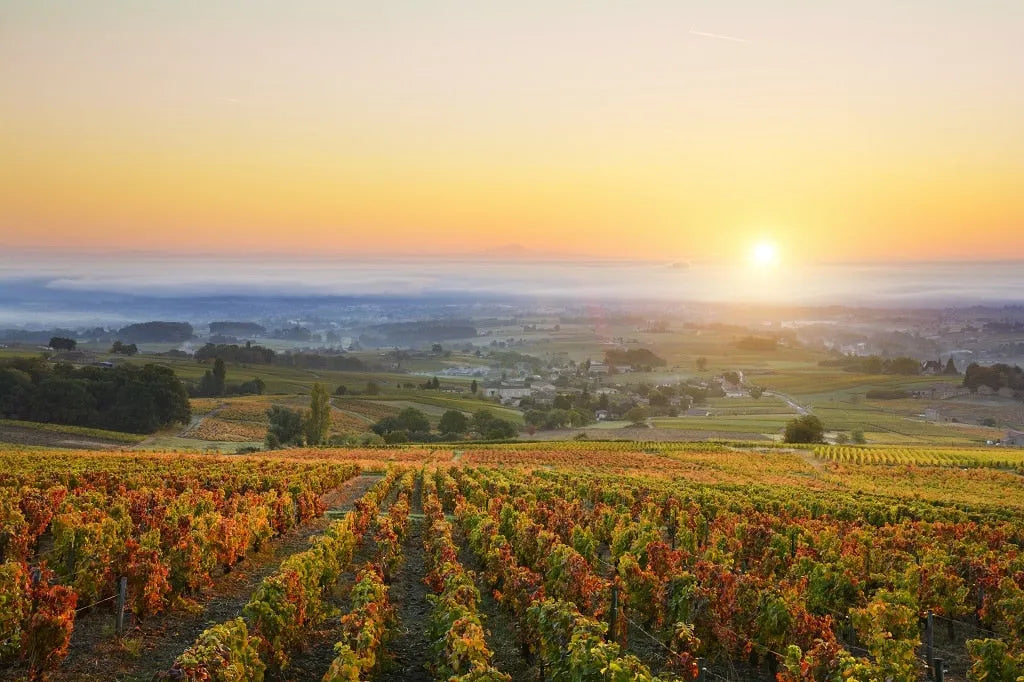 Nos crus du Beaujolais